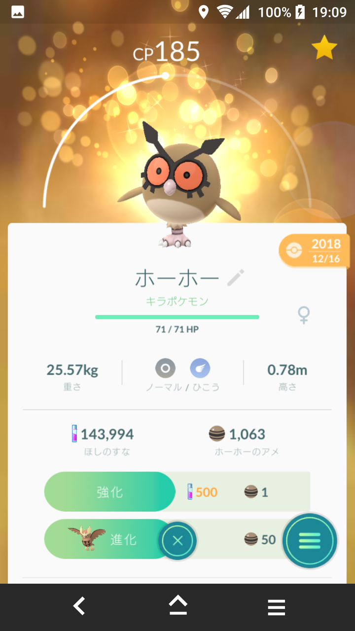 キラポケモン ホーホー ゲット Terumonぼうけんノート