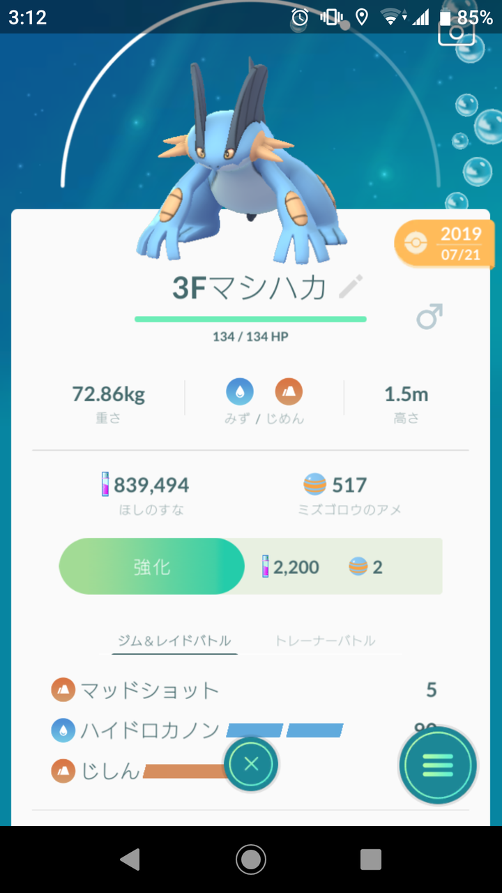 16匹目の技開放は ラグラージ Terumonぼうけんノート