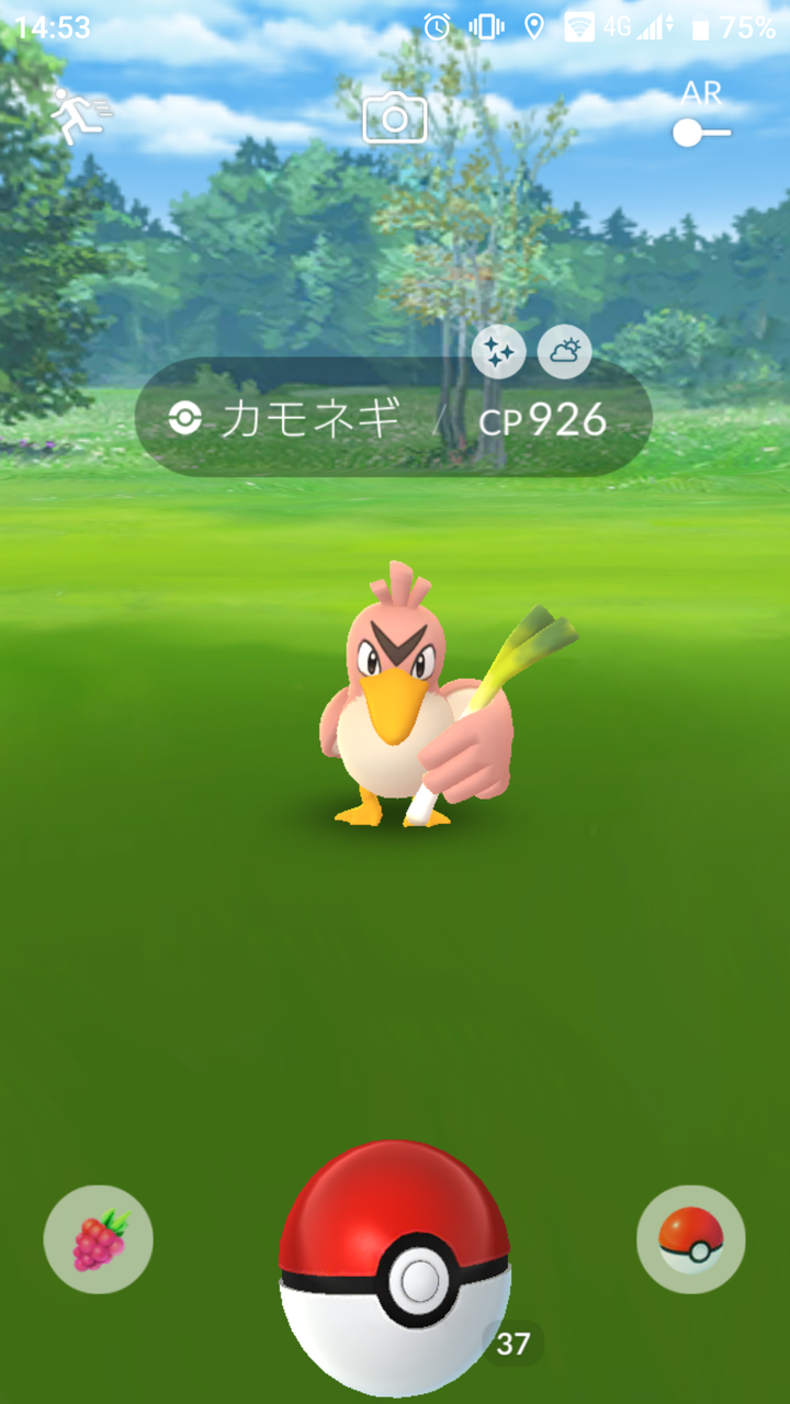 色違い カモネギ 野良でゲット Terumonぼうけんノート