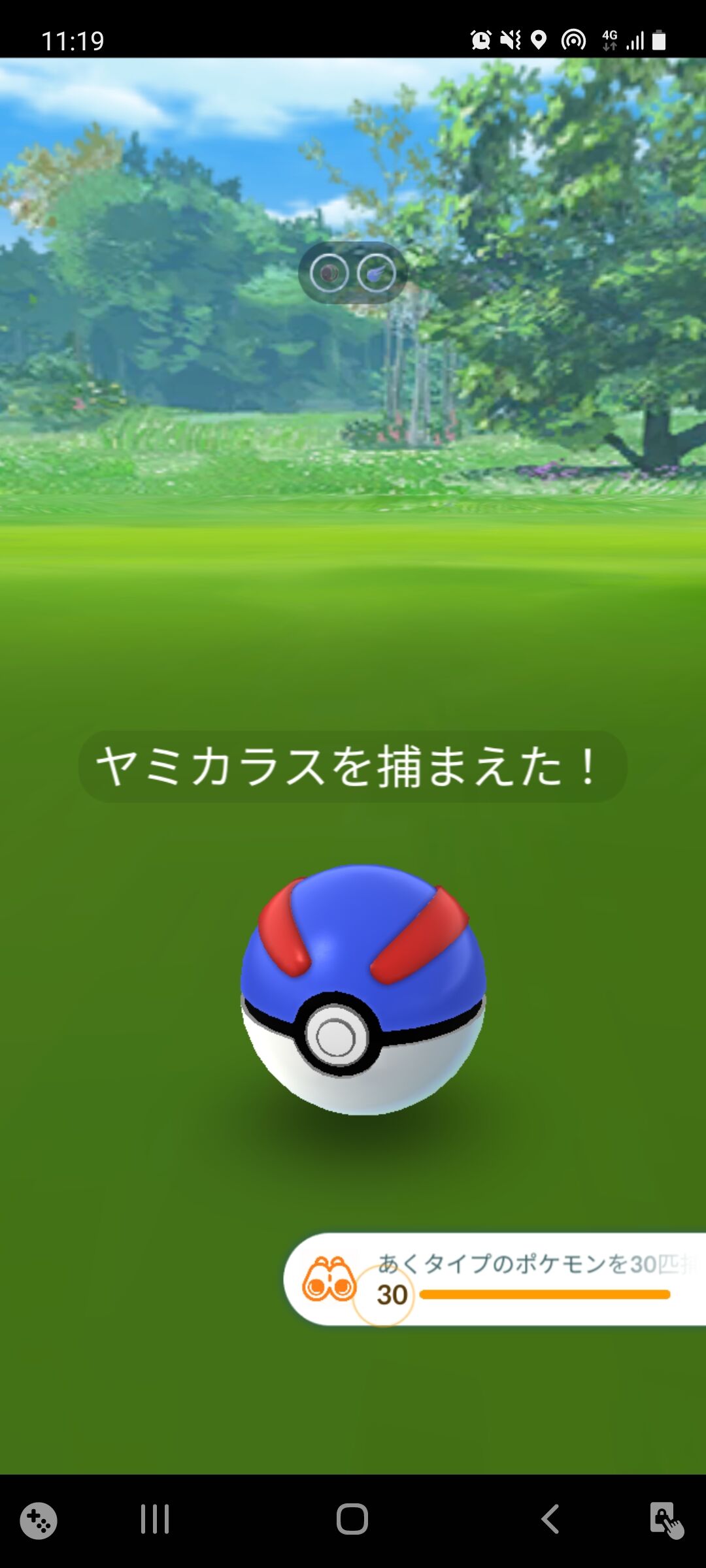 いたずらポケモンを解明せよ 11 16完了 Terumonぼうけんノート
