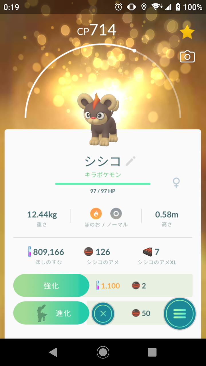 キラポケモン シシコ ゲット Terumonぼうけんノート