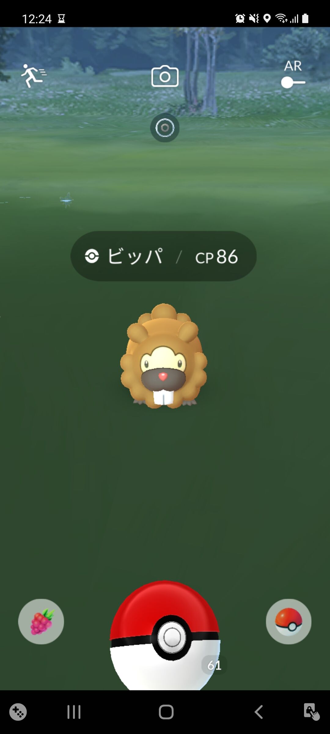 ピッバとピッバ 4 4まできた Terumonぼうけんノート