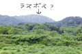 BlogPaint