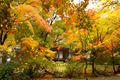 ��ߤ���3(EOS1D)