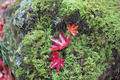 ��ߤ���1(DP2)-