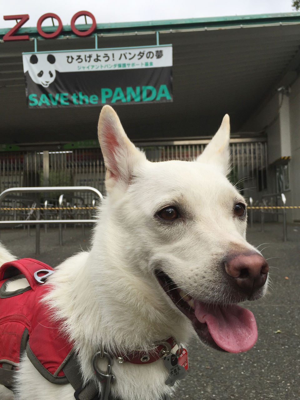 上野動物園弁天門 テルオのさんぽみち