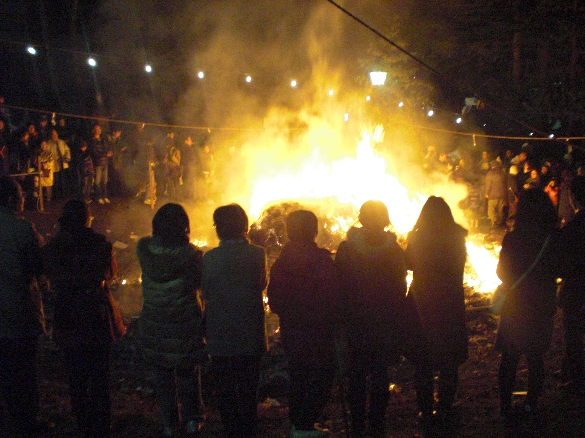 どんと祭 東照宮 仙台発 こころとからだにありがとう