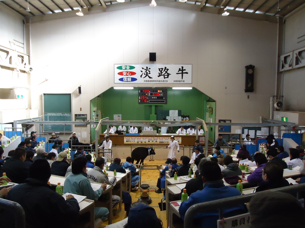 淡路家畜市場 新春子牛セリ市 但馬牛 照長土井物語