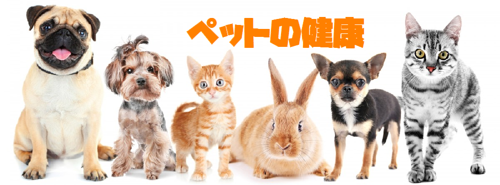 犬猫兼用 メンタルヘルス | ペットの健康
