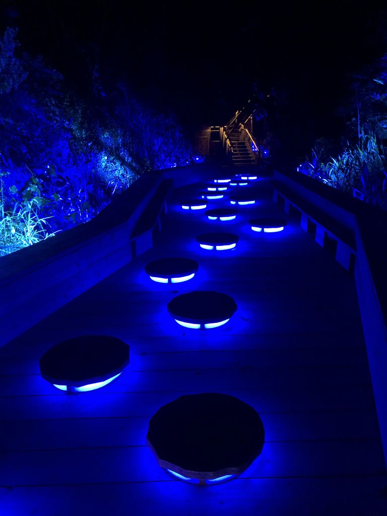 長崎 伊王島エギング 7月26日 ガマさん釣行記