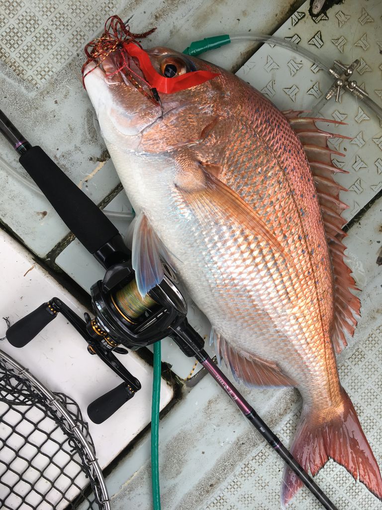 タイラバロッド ダイワ 紅牙x 69hb ガマさん釣行記