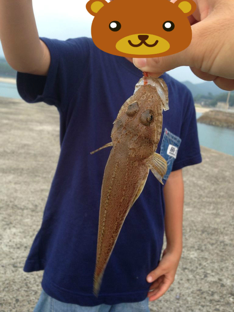 ヤマガ】カリスタ 89ML TZ NANO を使ってみた : ガマさん釣行記