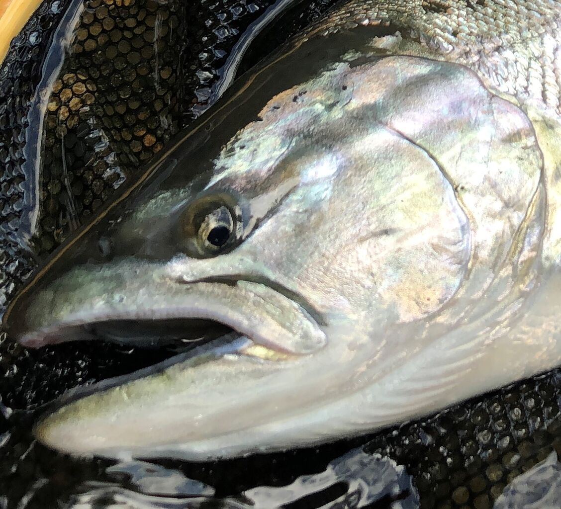 モアザン ブランジーノAGS 107LML(ガイド改だけど) : 主に湾奥の釣り