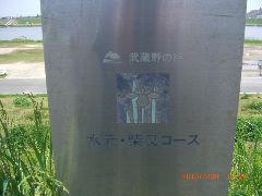 CIMG7678