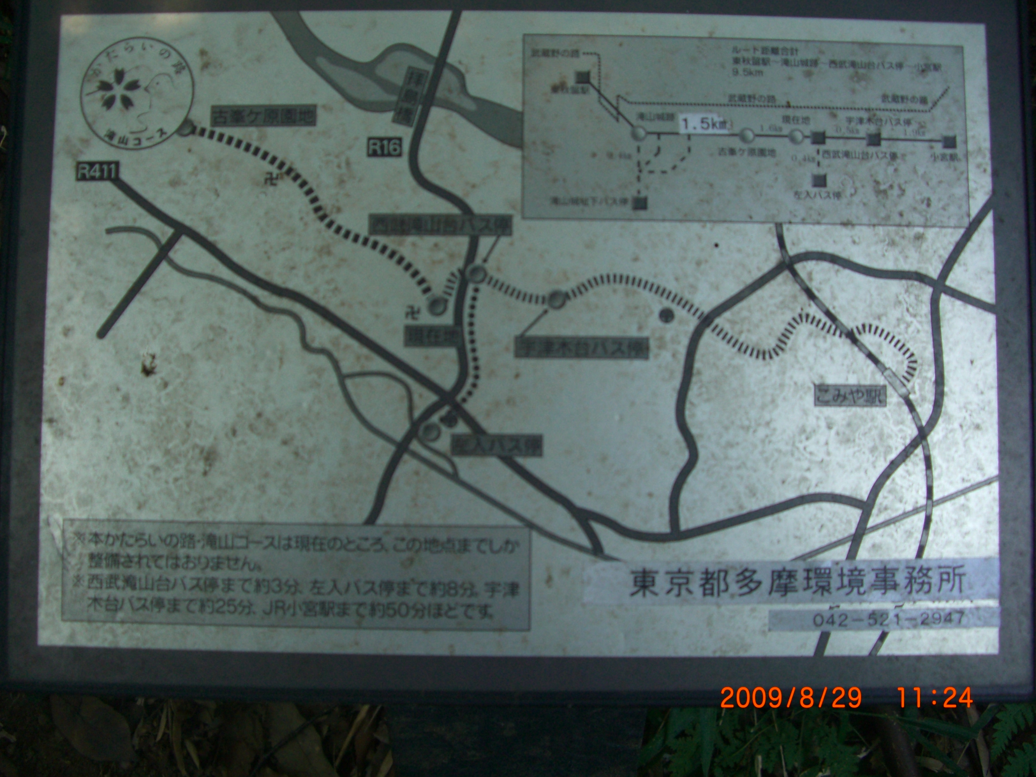 武蔵野の路 滝山草花コース1 おじさまはテルだった んですけどね