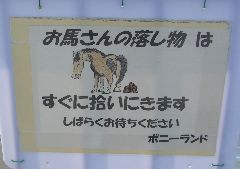 CIMG7698
