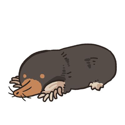 モグラ