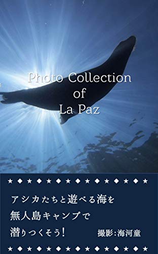 海河童 ラパス