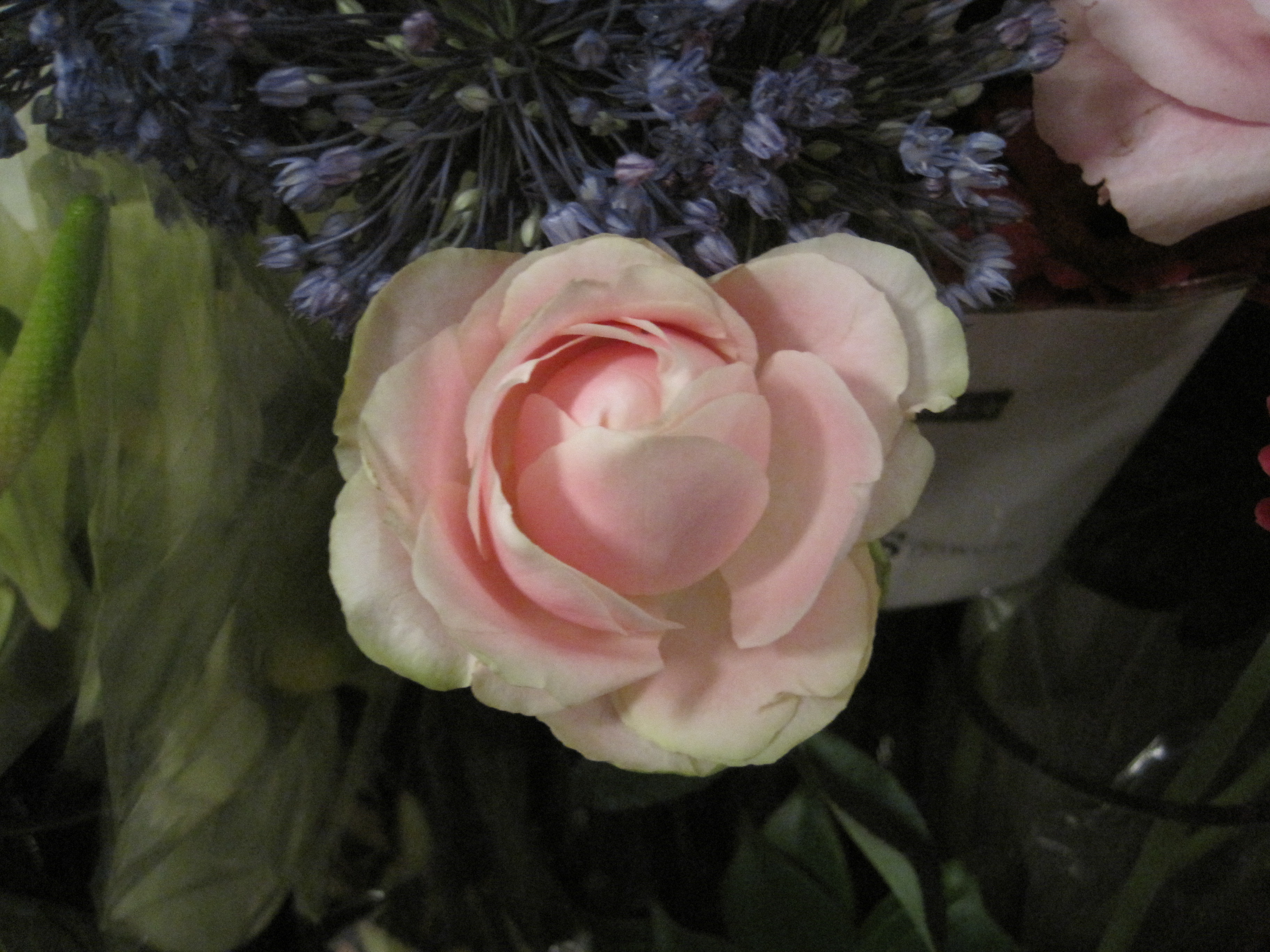 Lotus Flowers フローリストdiary Livedoor Blog ブログ