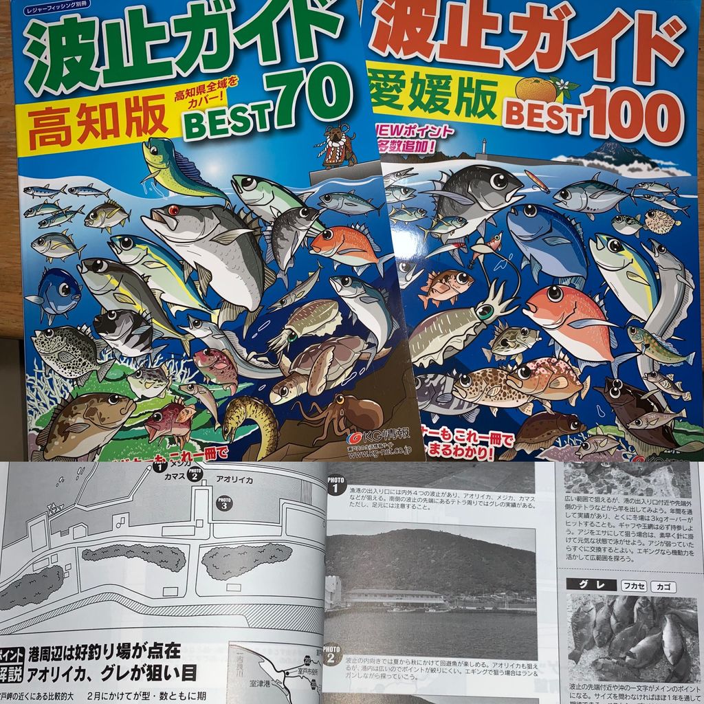 18 11 16 四国 室戸岬遠征 ブラクリ仕掛けで巨大ガシラ狙い 怪魚も 前編 へーちゃんblog 18 11 16 四国 室戸岬遠征 ブラクリ仕掛けで巨大ガシラ狙い 怪魚も 前編 へーちゃんblog