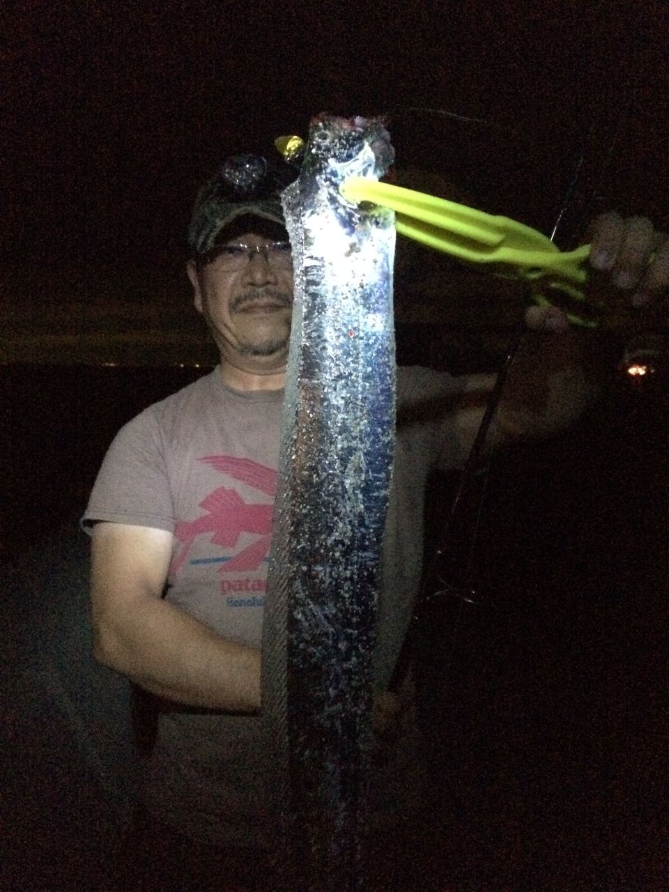 淡路島 太刀魚 オカッパリ 指4本来る へーちゃんblog 淡路島 太刀魚 オカッパリ 指4本来る へーちゃんblog