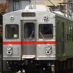 動く姿