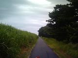 酒匂川道中1