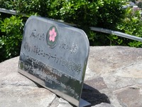 IMGP0321