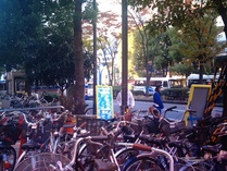 IMAG0049(2)