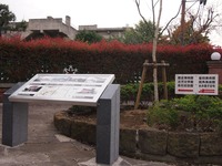 P4291426