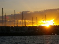 IMGP0391