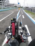 IMGP1381