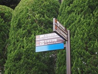 P4291423