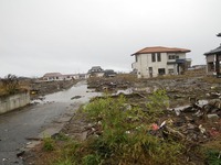 IMGP0567