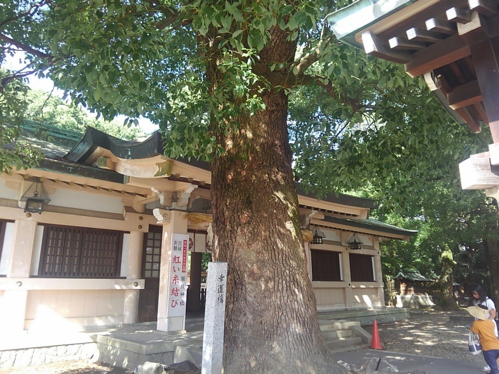 尾張一宮 真清田神社 愛知県一宮市 鯉のはじまり 第二章 尾張一宮 真清田神社 愛知県一宮市 鯉のはじまり 第二章
