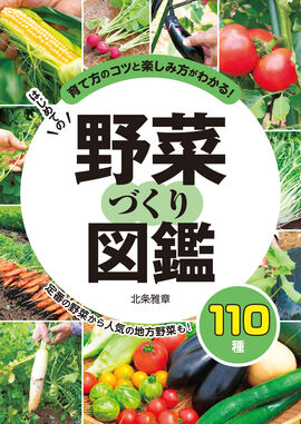 はじめての野菜づくり図鑑110種 掲載用イラスト Ad Chiaki