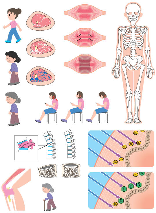 Nhkガッテン 健康プレミアム Vol 13 掲載用イラスト Ad Chiaki
