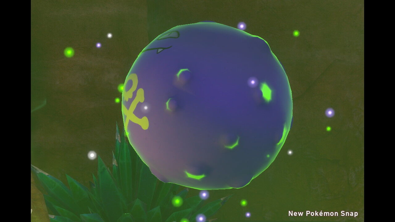 New ポケモンスナップ カラリ荒野 昼 ポカブ ドガース マルノーム エンニュート ねこじゃらし New ポケモンスナップ カラリ荒野 昼 ポカブ ドガース マルノーム エンニュート ねこじゃらし