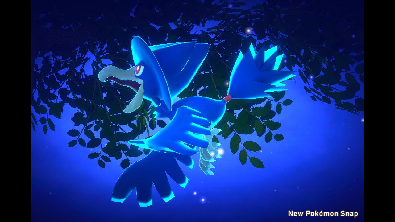 New ポケモンスナップ クレ抜け道 夜 タマゲタケ ねこじゃらし