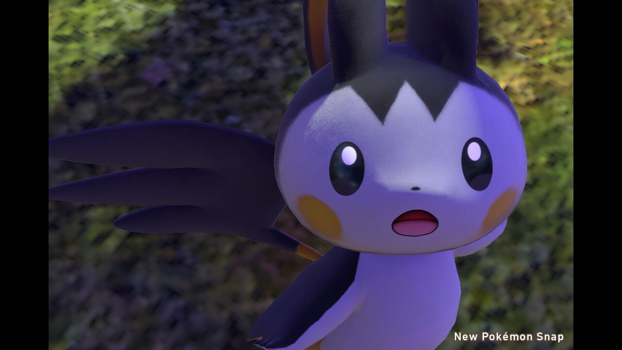 New ポケモンスナップ 公園にいるかわいいポケモン達 ねこじゃらし New ポケモンスナップ 公園にいるかわいいポケモン達 ねこじゃらし