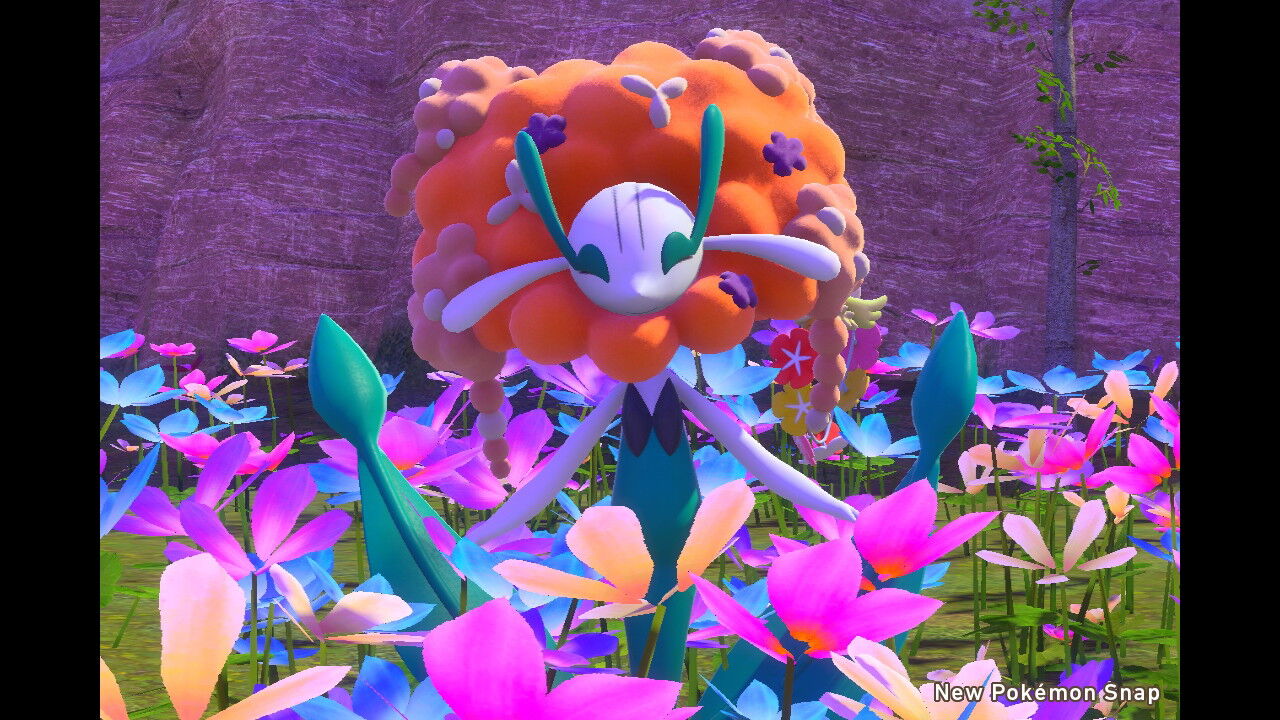 New ポケモンスナップ フラージェスの色 白のフラージェス ねこじゃらし New ポケモンスナップ フラージェスの色 白のフラージェス ねこじゃらし
