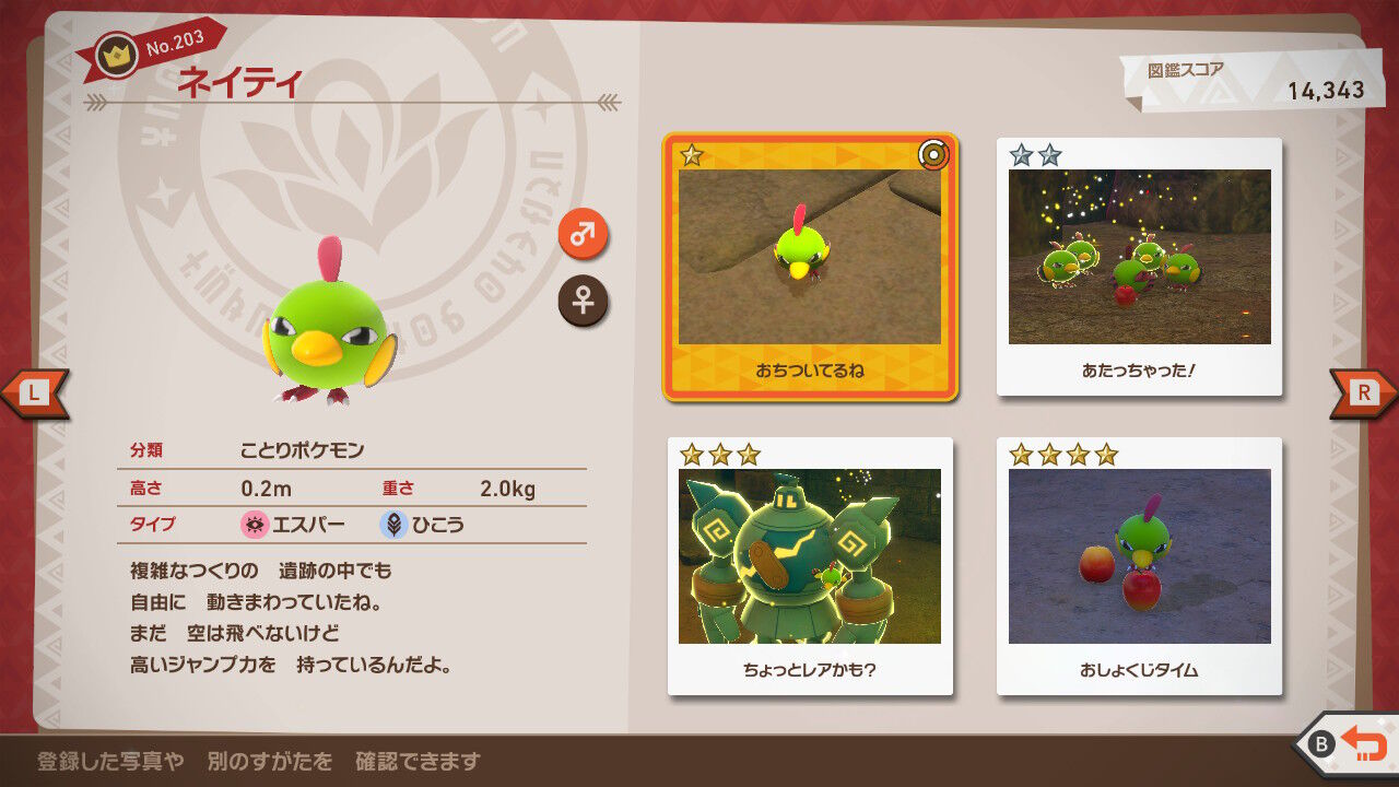 ねこじゃらし ねこじゃらし