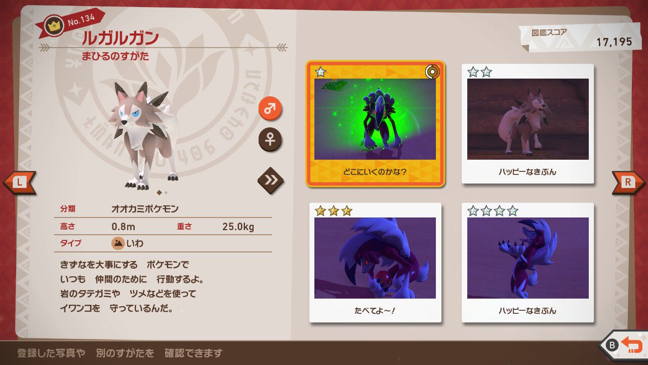 New ポケモンスナップ ルガルガン ガルーラ カバルドン スナヘビ サンド ねこじゃらし New ポケモンスナップ ルガルガン ガルーラ カバルドン スナヘビ サンド ねこじゃらし