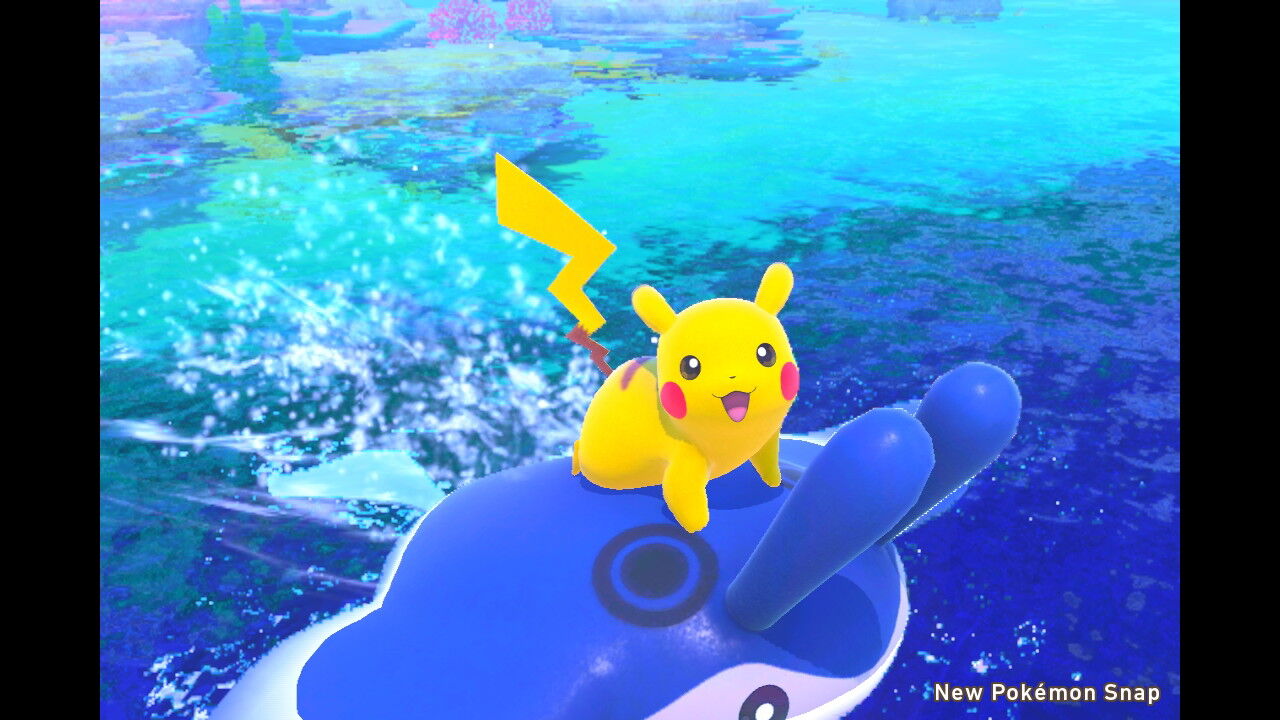 New ポケモンスナップ キャモメ ホエルオー ペリッパー ナマコブシ ホエルコ ねこじゃらし New ポケモンスナップ キャモメ ホエルオー ペリッパー ナマコブシ ホエルコ ねこじゃらし