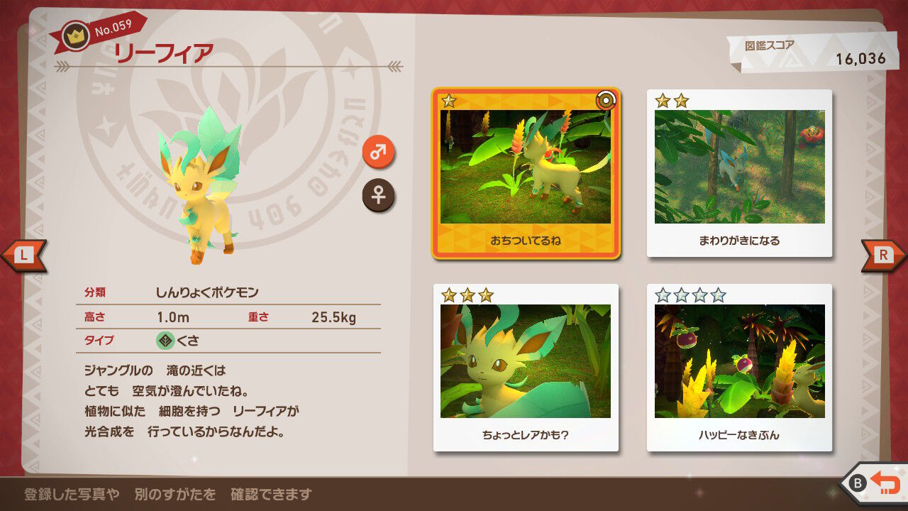 New ポケモンスナップ ツツケラ ヌオー リーフィア アマカジ ねこじゃらし