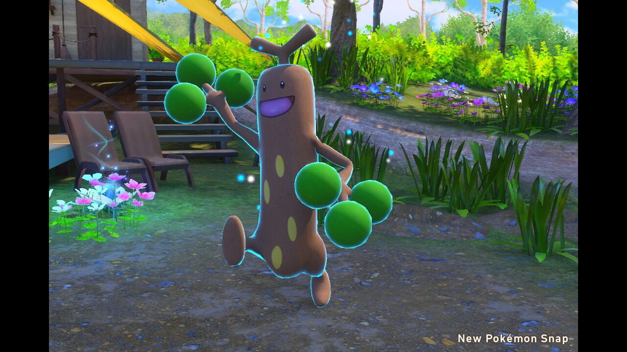 New ポケモンスナップ ラグラージ ウソッキー ヤブクロン デデンネ ねこじゃらし New ポケモンスナップ ラグラージ ウソッキー ヤブクロン デデンネ ねこじゃらし