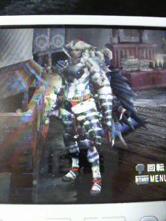 Mhp2g日記195 武器と防具 ねこじゃらし