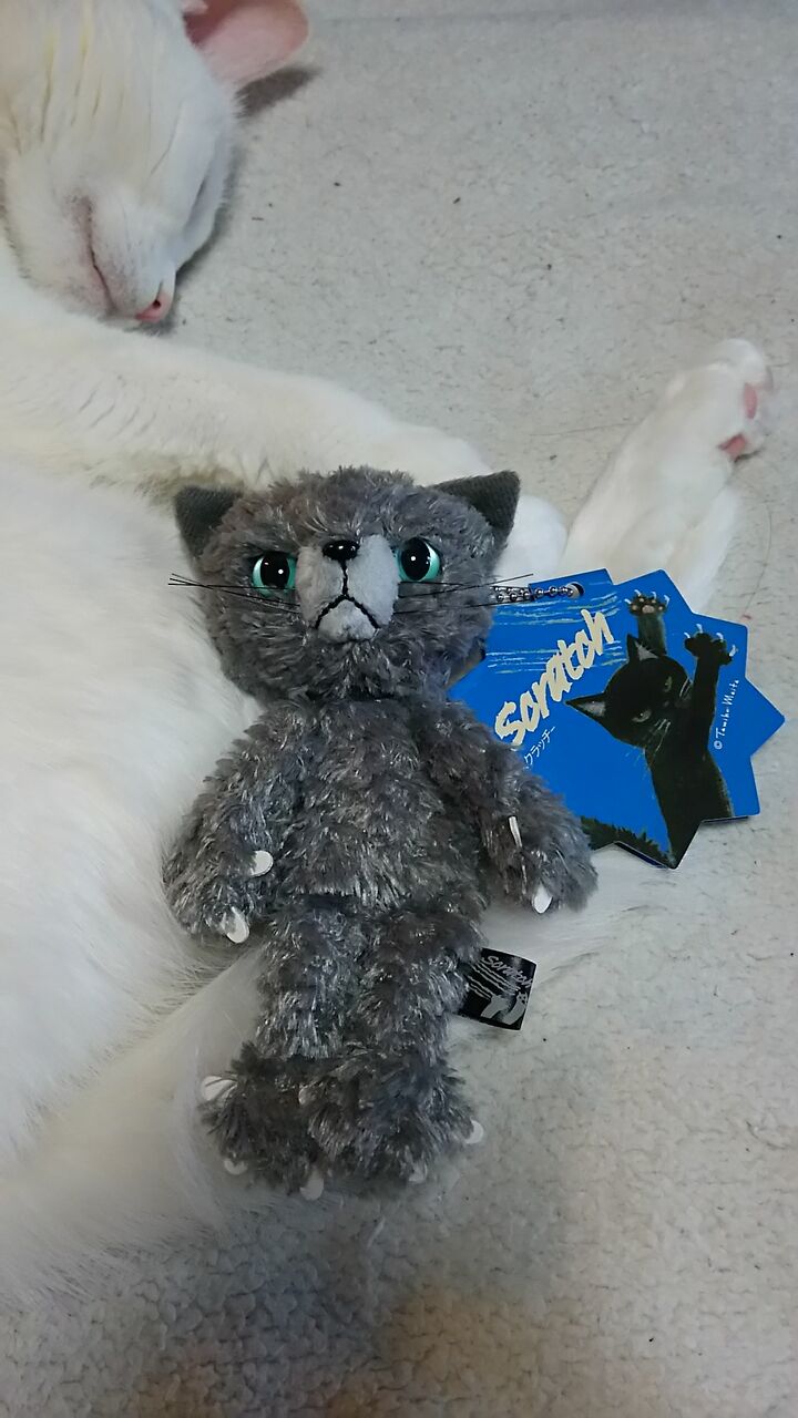 米田民穂が描くひっかき猫 Scratch スクラッチ ねこじゃらし