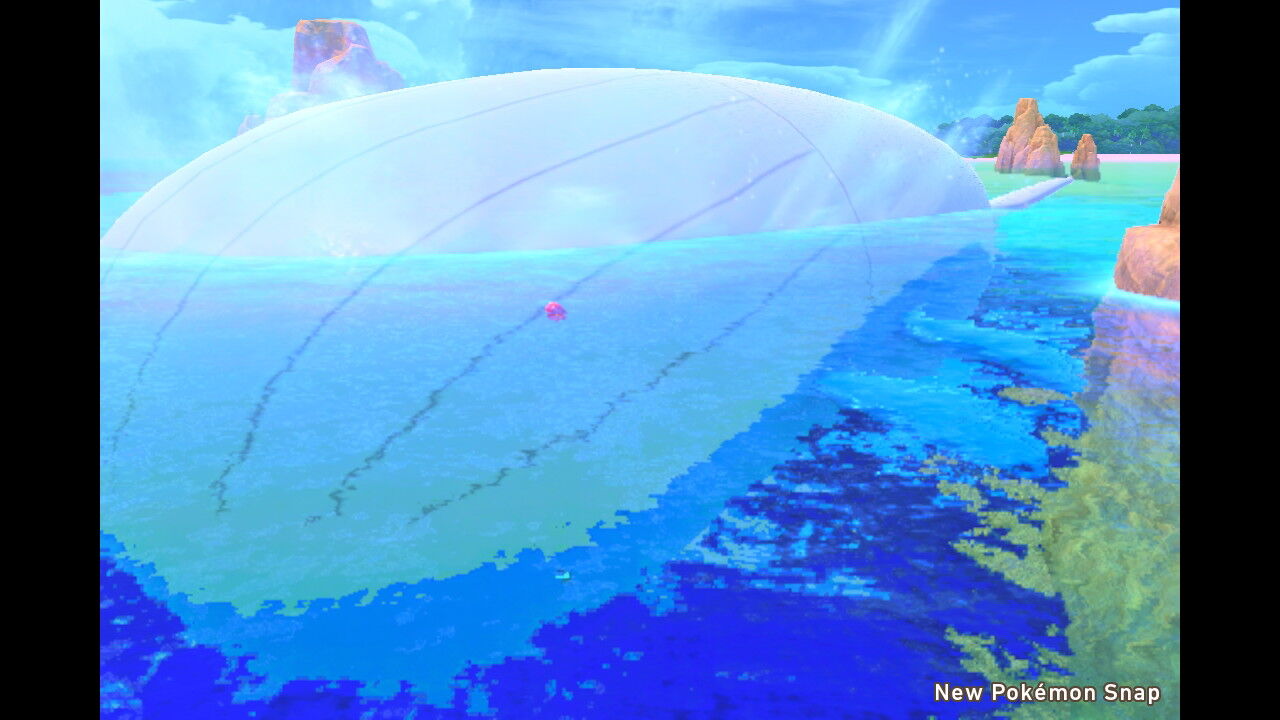 New ポケモンスナップ キャモメ ホエルオー ペリッパー ナマコブシ ホエルコ ねこじゃらし