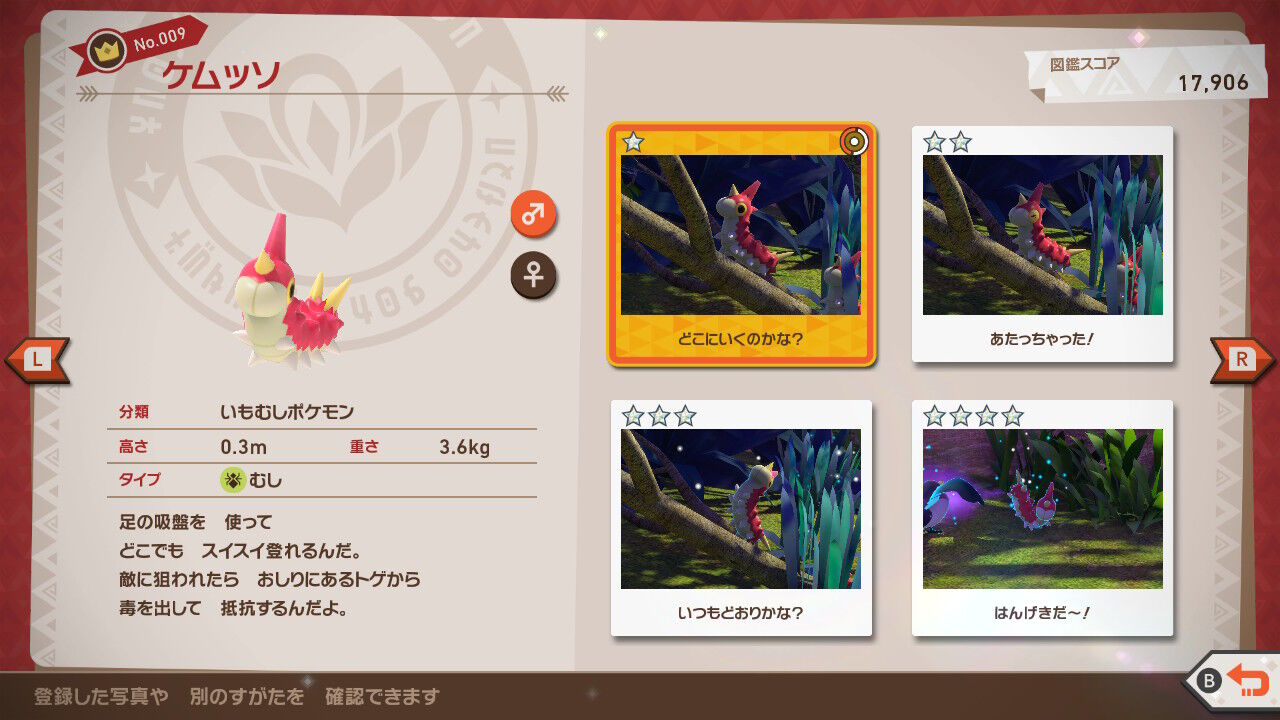 New ポケモンスナップ スバメ ケムッソ コイキング ねこじゃらし New ポケモンスナップ スバメ ケムッソ コイキング ねこじゃらし